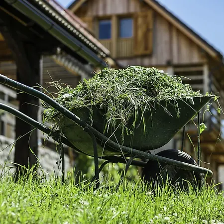 Family House Kalska Domacija Pensión *